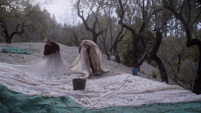 La_Hojarasca_Nacional_still_11