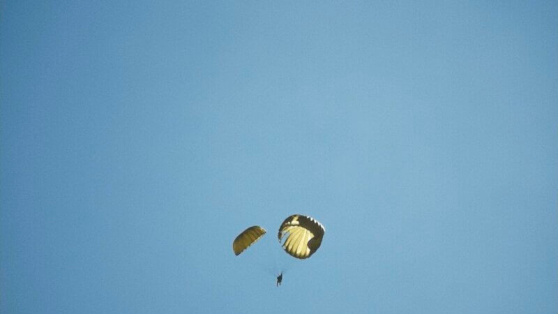 2_secondary_1 - Paolo Tizon