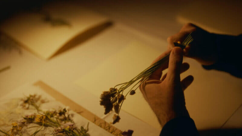 FLORS 2025.00_05_04_24.Imagen fija005