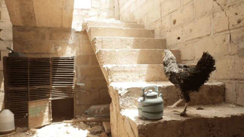 photo11 - clara leblanc